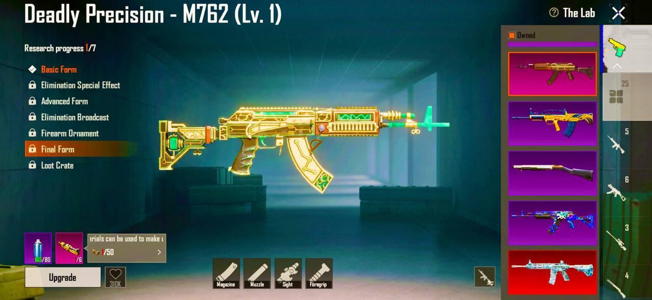 b9dtpd55w5_image.png