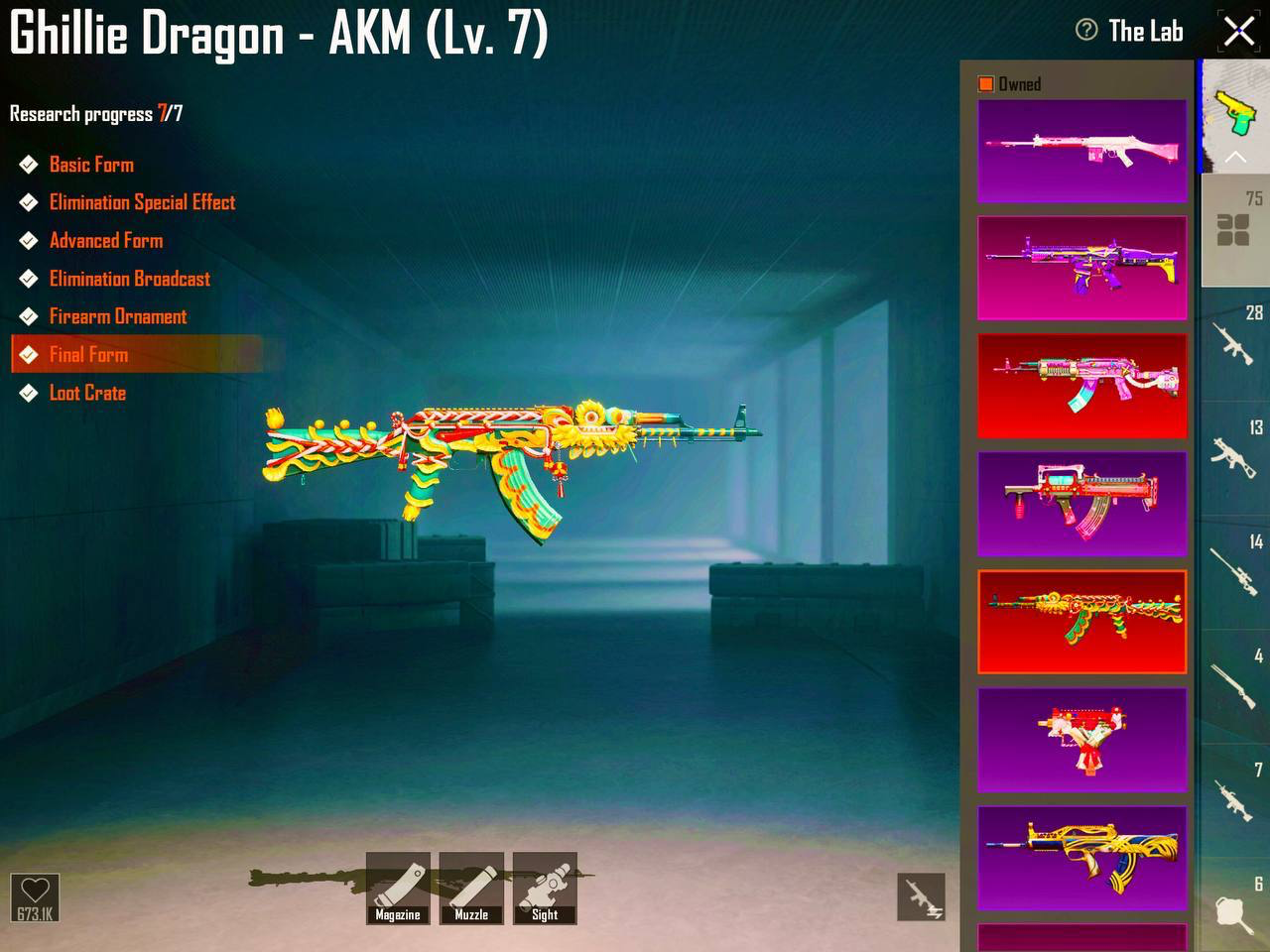 gvwvv9p0en_image.png